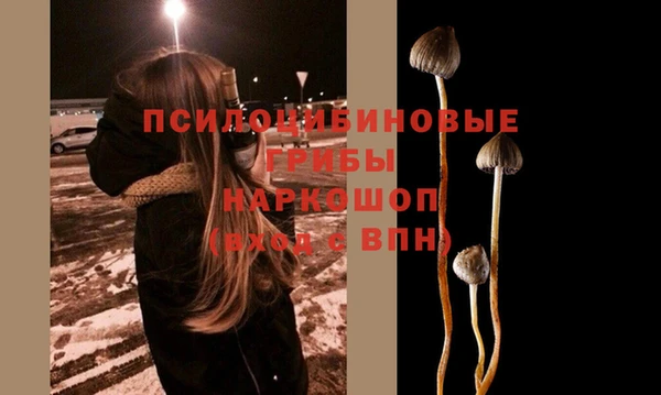 ПСИЛОЦИБИНОВЫЕ ГРИБЫ Кулебаки