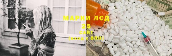 ГАЛЛЮЦИНОГЕННЫЕ ГРИБЫ Лагань