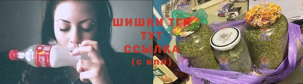 ПСИЛОЦИБИНОВЫЕ ГРИБЫ Кулебаки