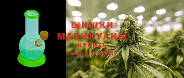 ПСИЛОЦИБИНОВЫЕ ГРИБЫ Кулебаки