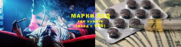 ГАЛЛЮЦИНОГЕННЫЕ ГРИБЫ Лагань