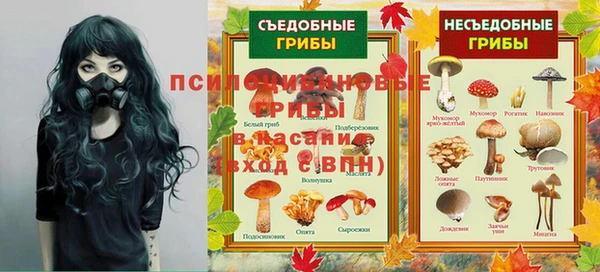 скорость Кукмор