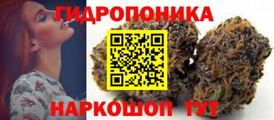 стафф Славгород