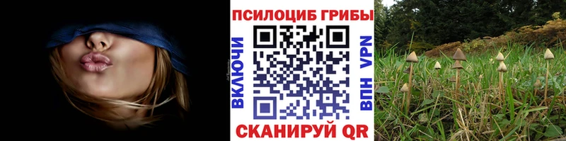 даркнет сайт  мега вход  Галлюциногенные грибы Cubensis  Слободской 