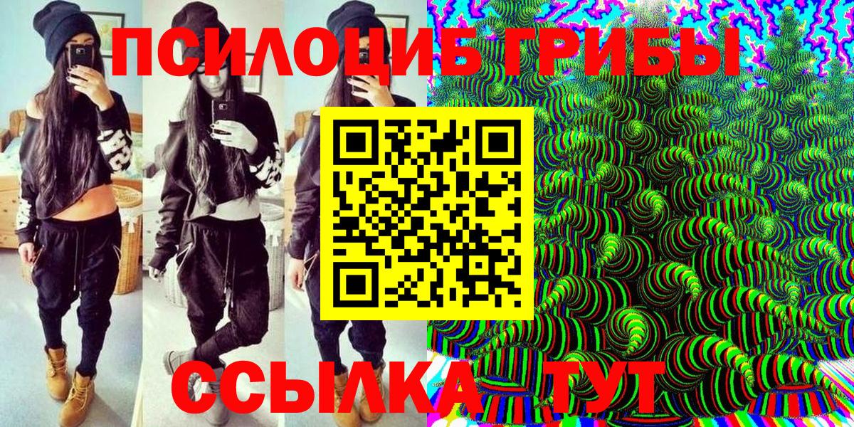 Псилоцибиновые грибы Cubensis Слободской