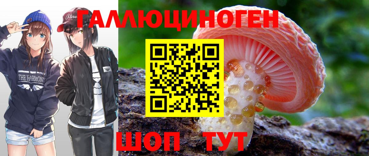 купить закладку  Галлюциногенные грибы прущие грибы  Вход с VPN  Слободской  Галлюциногенные грибы Psilocybe 